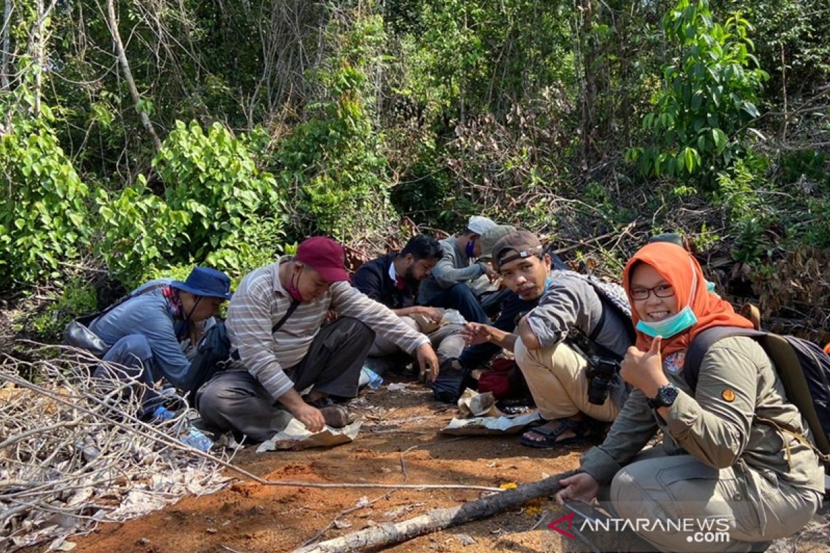 SBI: Perjalanan selamatkan orangutan Kalsel cukup panjang