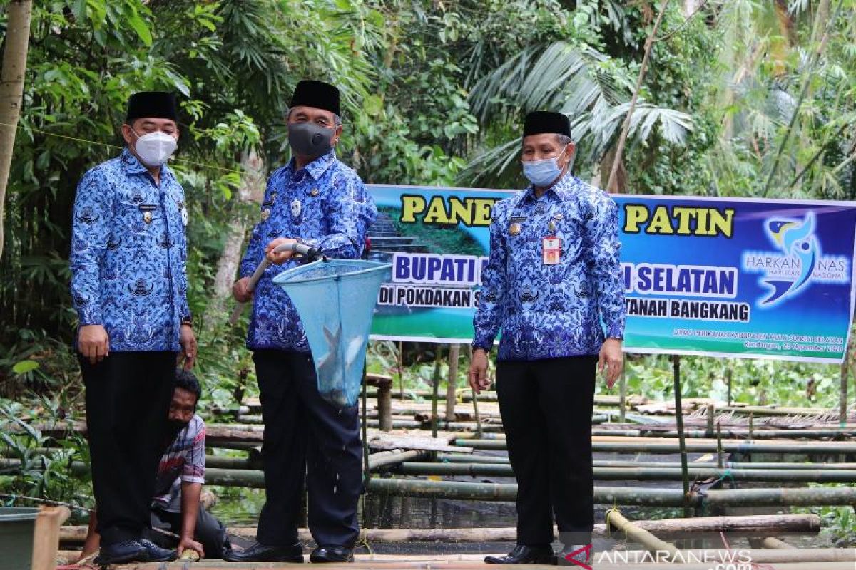 22 keramba jala ikan patin Pokdakan Sumber Rezeki dipanen