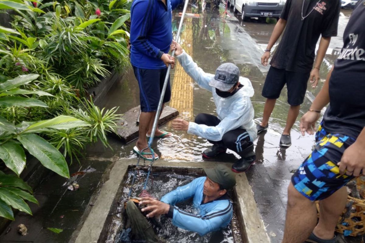 Dinas PUPR Denpasar bersihkan drainase untuk  cegah banjir