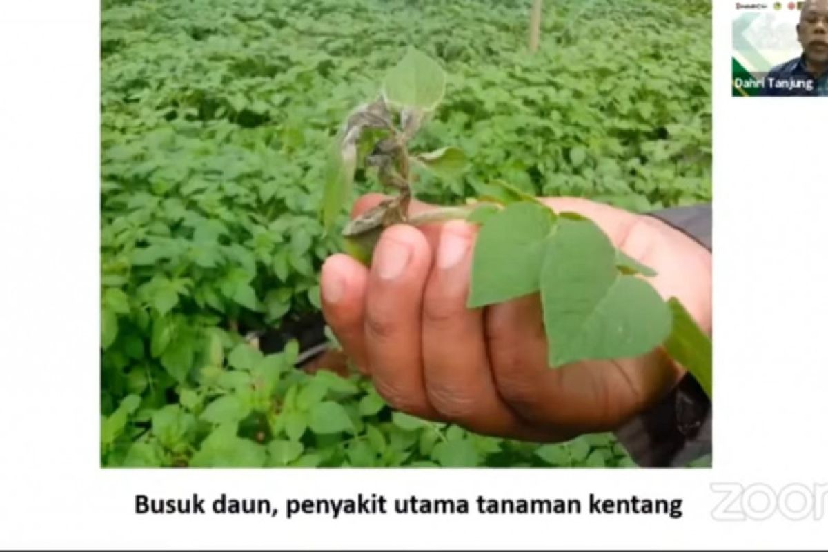 Penggunaan benih bioteknologi dinilai mampu hemat biaya produksi