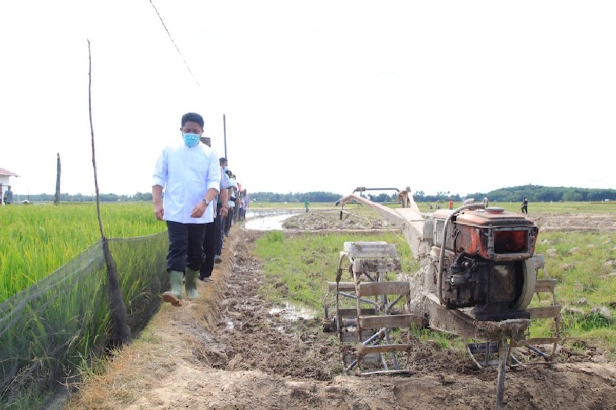 Sumsel realisasikan program listrik  masuk sawah di  OKU Timur