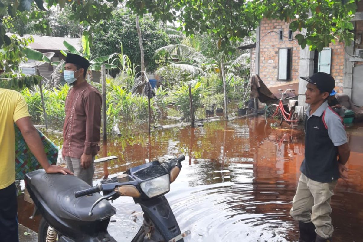 Puluhan rumah terendam banjir di Kecamatan Bukit Batu Bengkalis
