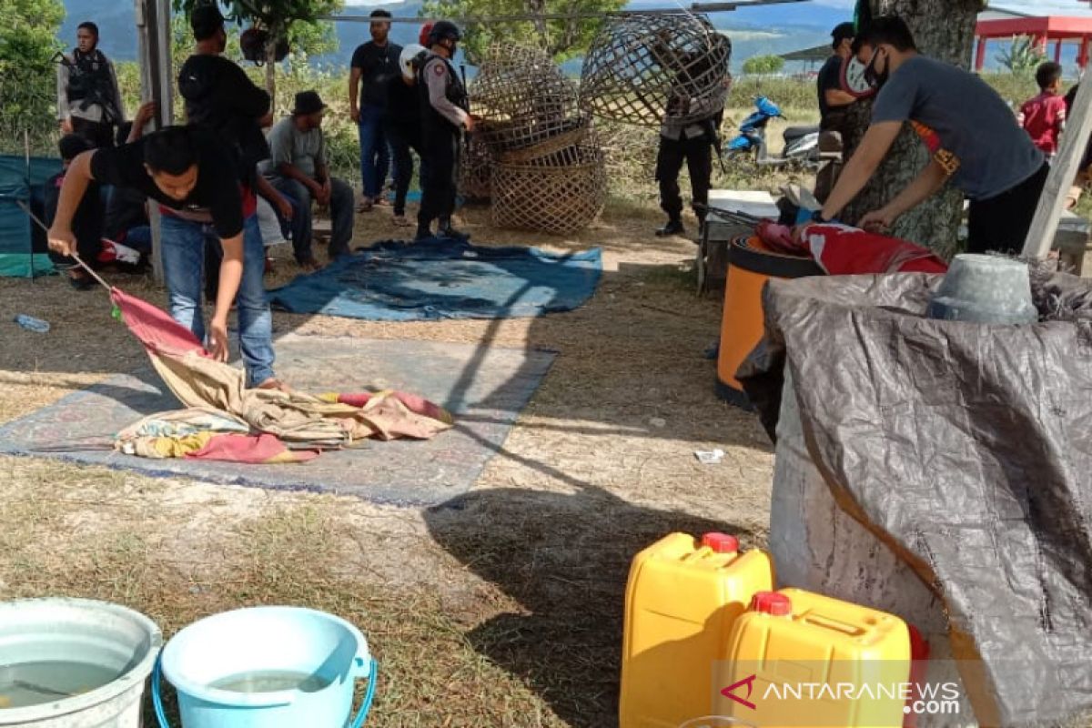 Polisi grebek 11 orang dalam  lokasi sabung ayam di Palu