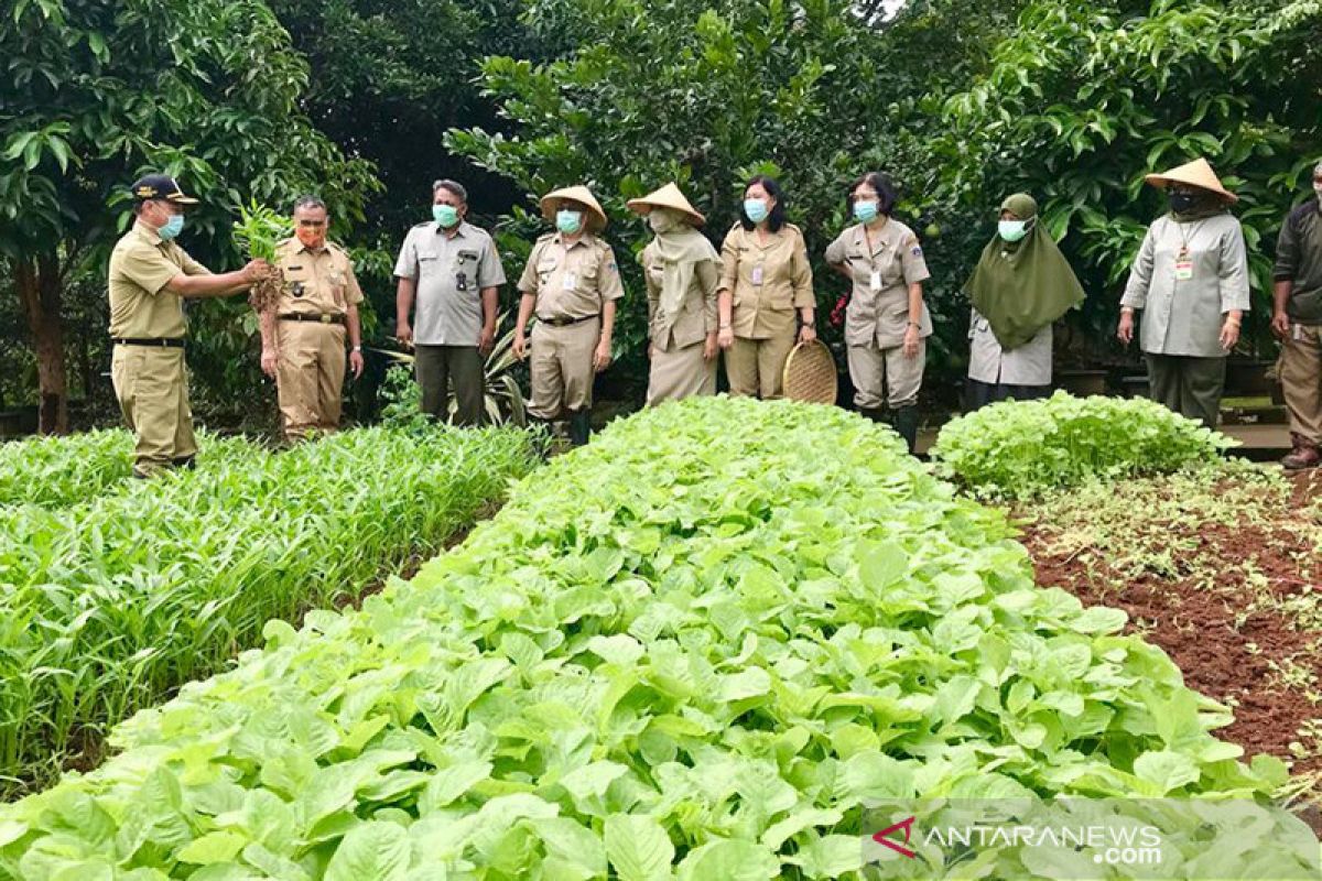 Jakarta Selatan panen serentak produk pertanian dan perikanan