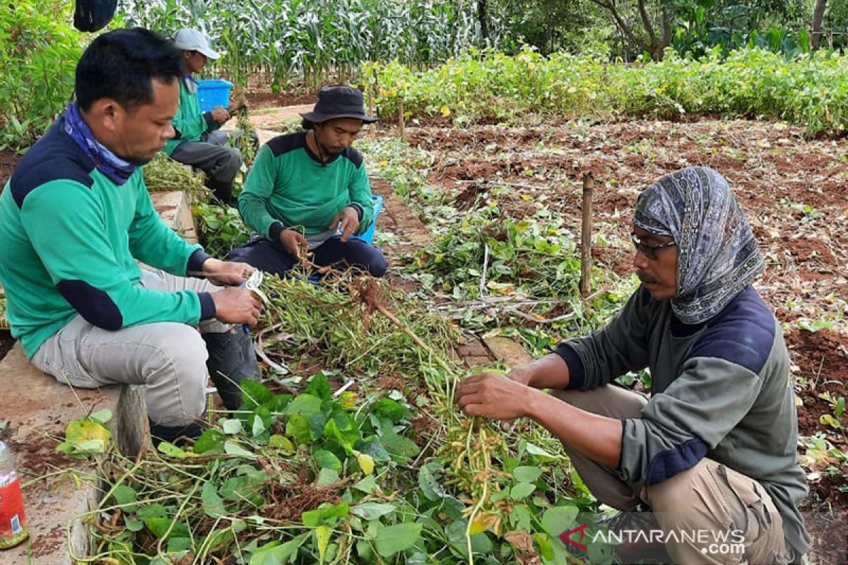 Disbun Kaltim jalin kerjasama pengelola hotel pasarkan produk perkebunan