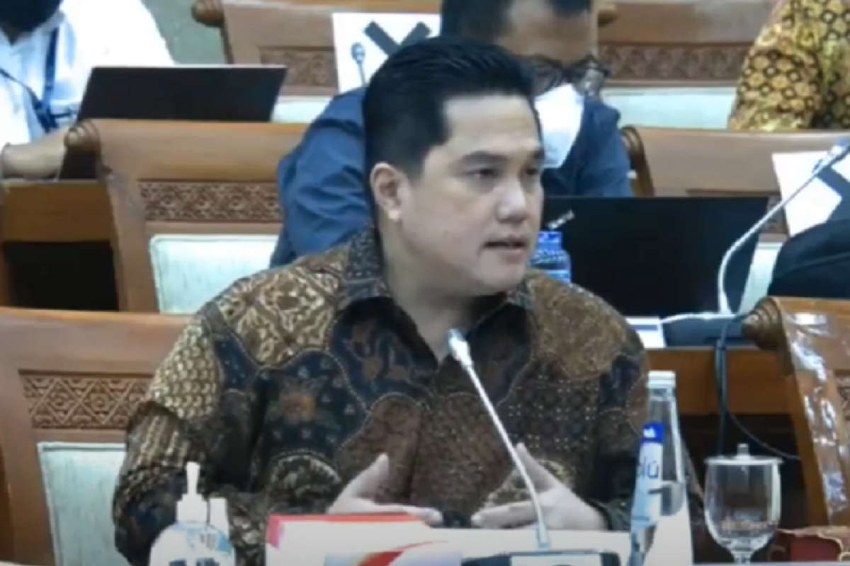 Menteri Erick Thohir ungkap 35 BUMN masuk dalam restrukturisasi/optimasi PPA