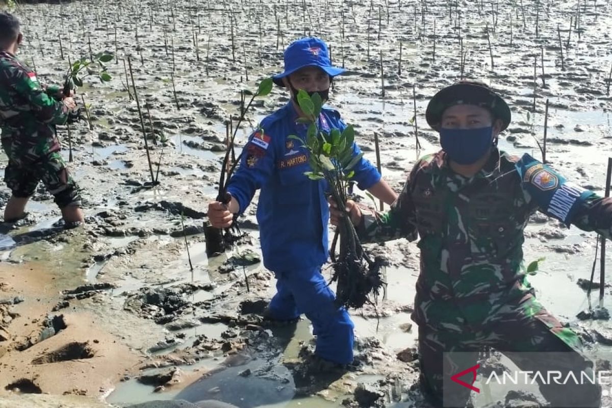 Satuan Kepolisian Air tanam mangrove cegah abrasi pantai