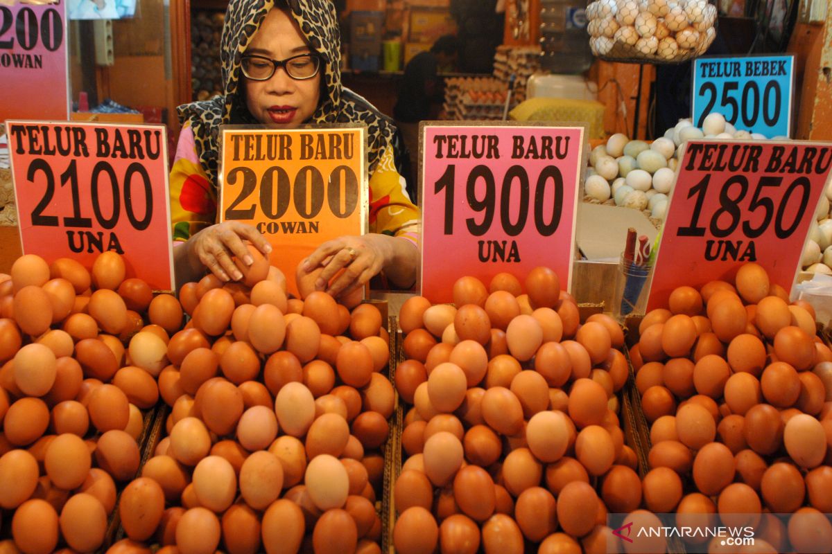 Kementan menggelar program telur murah di Jabodetabek