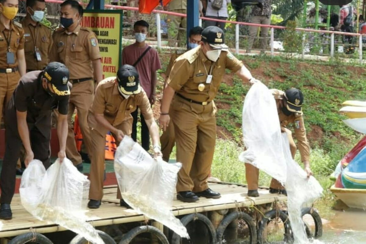 Gubernur Lampung: Sektor pertanian mampu topang perekonomian di tengah COVID-19