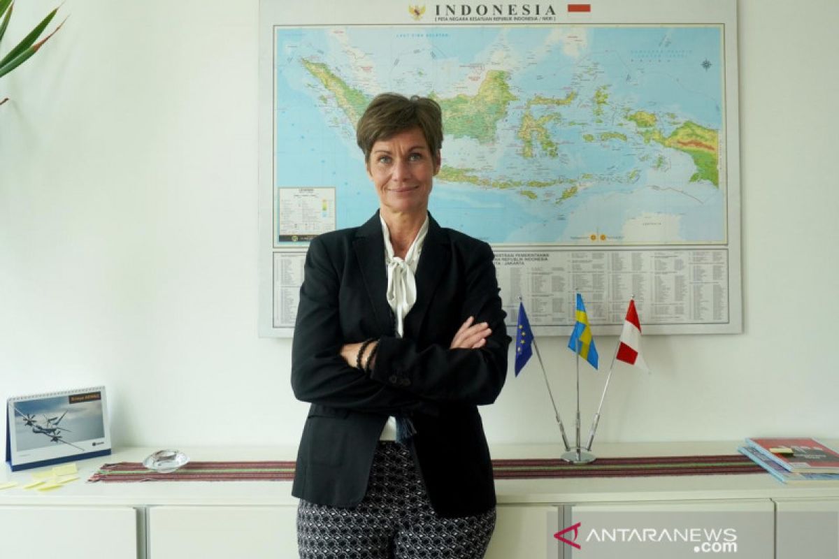 Dubes dorong perusahaan Swedia investasi di sektor kesehatan Indonesia
