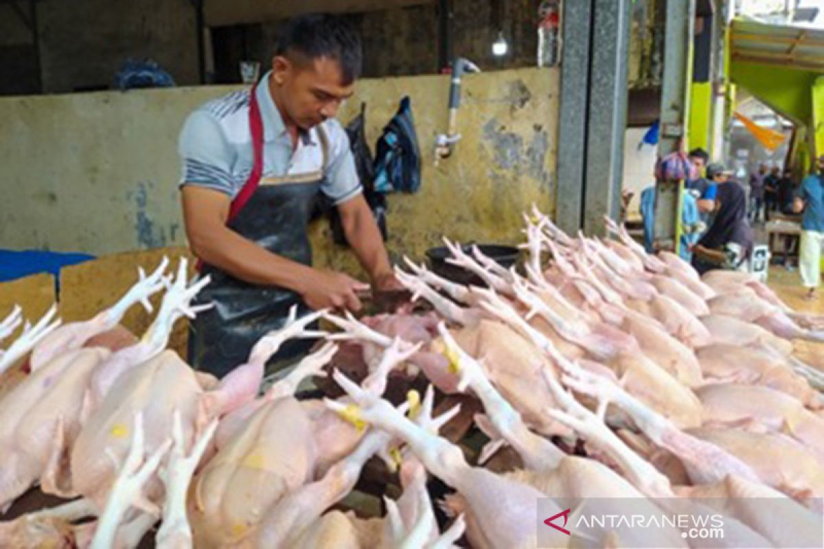 Maulid, Harga ayam potong di Banda Aceh naik