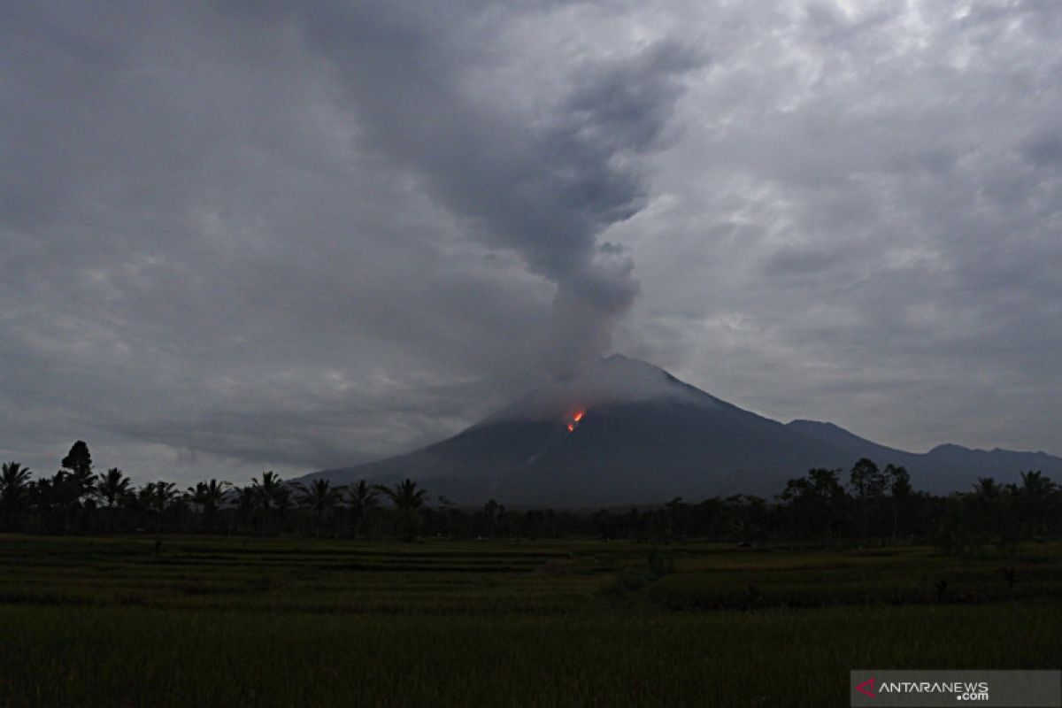 Guguran awan panas Gunung Semeru meluncur hingga sejauh 3.000 meter