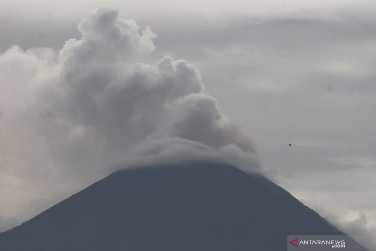 Semeru masih luncurkan awan panas guguran