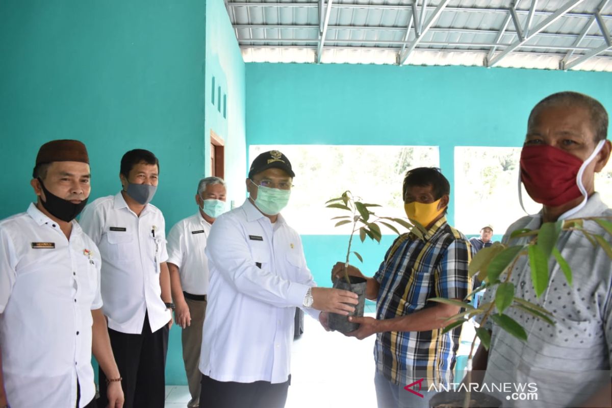 Pemprov Babel jadikan Desa Belimbing sentra durian