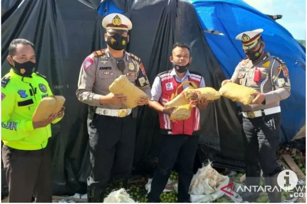 Truk pembawa ganja terguling di Tol Bakauheni-Terbanggi Besar