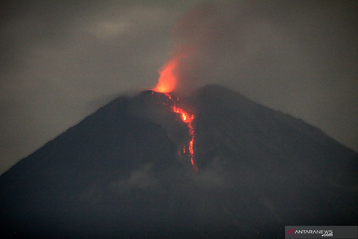 Gunung Semeru masih fluktuatif dan erupsi terjadi tidak terus-menerus