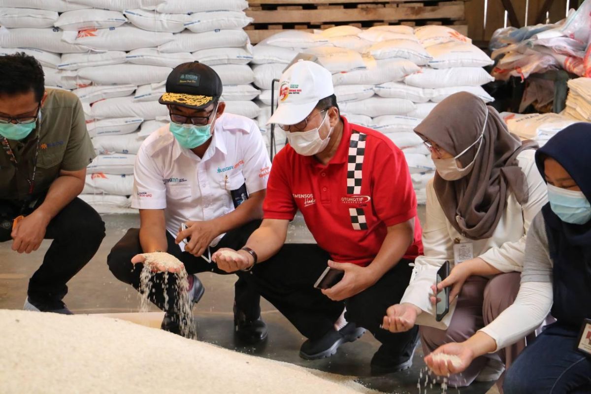 Bulog Lebak-Pandeglang jamin ketersediaan beras cukup selama 5 bulan