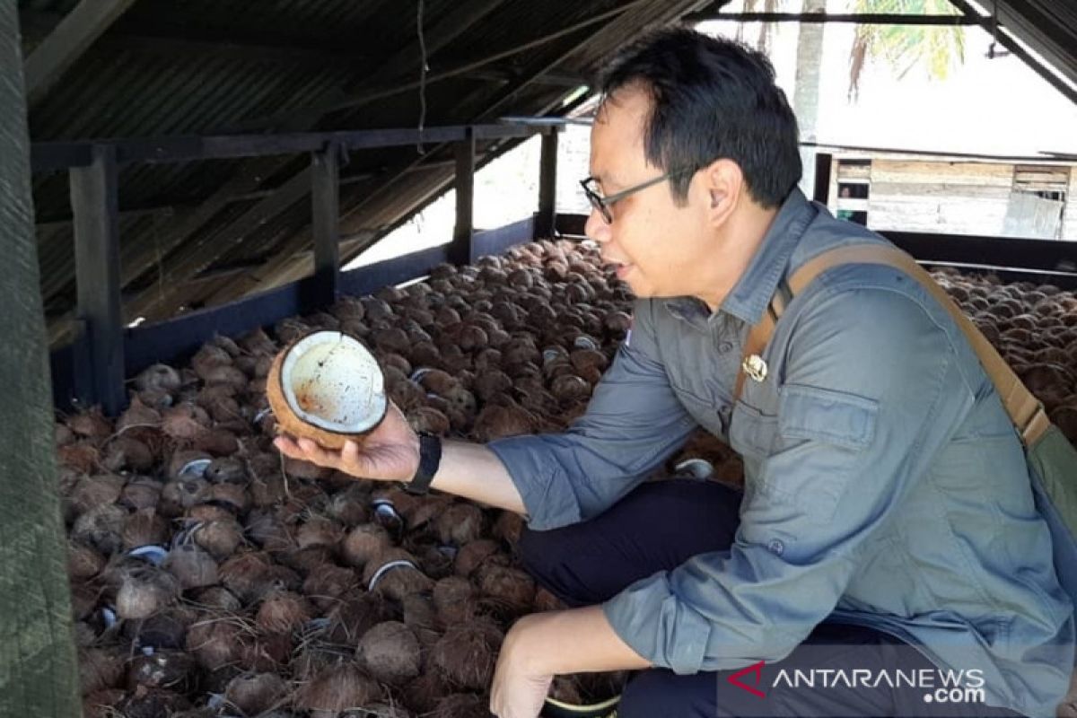 Ekspor kelapa bulat ditutup harga di petani harus dijamin