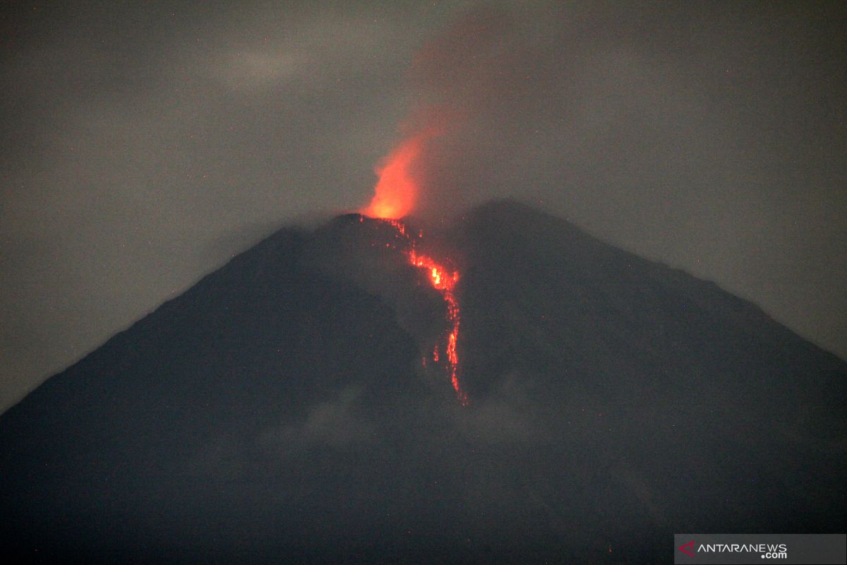 Ketika erupsi Gunung Semeru di tengah pandemi COVID-19