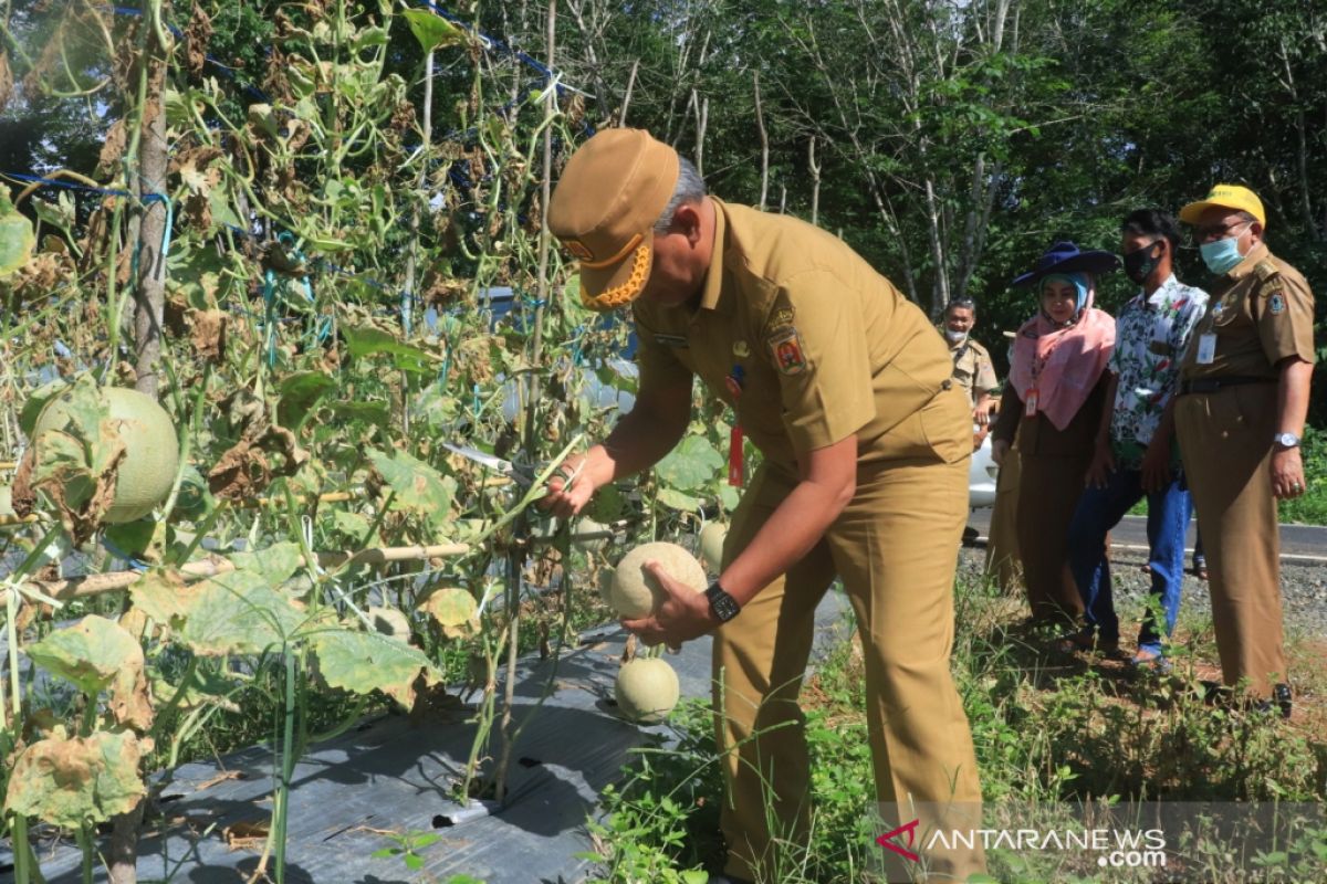 Sekda Banjarbaru semangati petani milenial di Cempaka