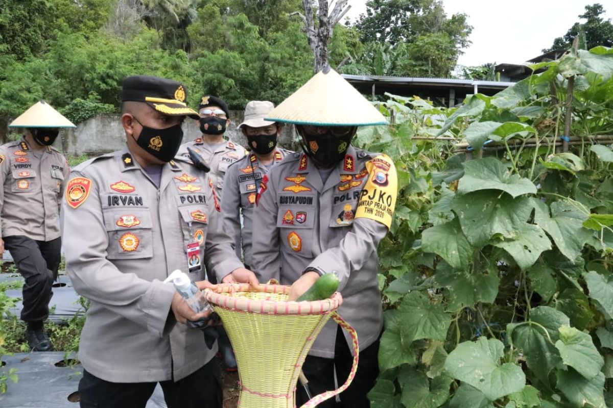 Polda Malut  wujudkan kampung tangguh ketahanan pangan