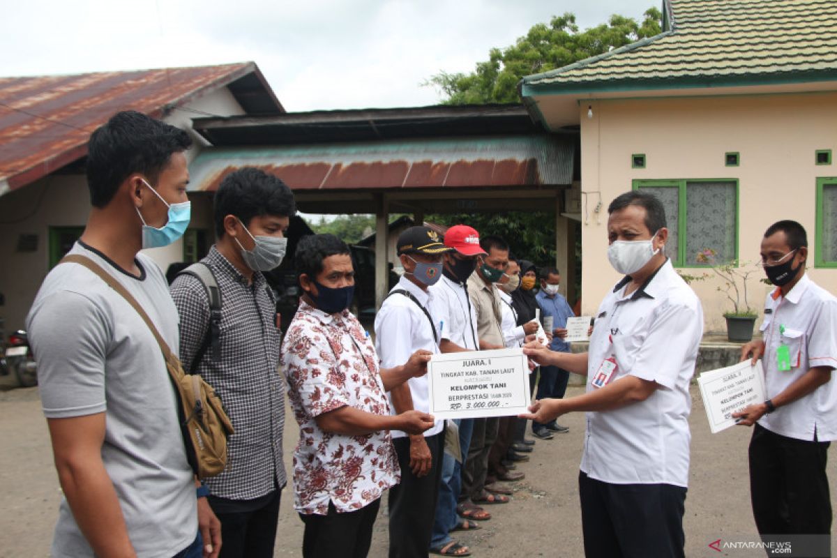 Distanhorbun Tanah Laut beri penghargaan pelaku usaha pertanian