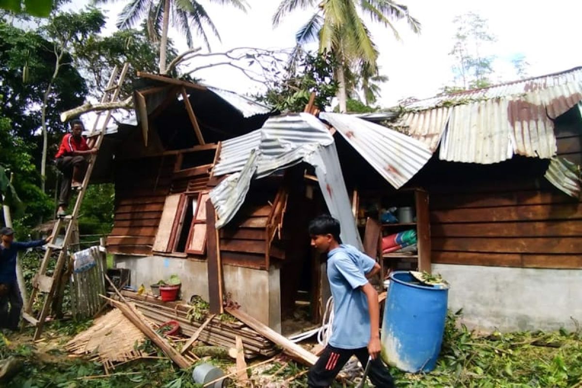 Satu unit rumah di Aceh Timur rusak akibat pohon tumbang