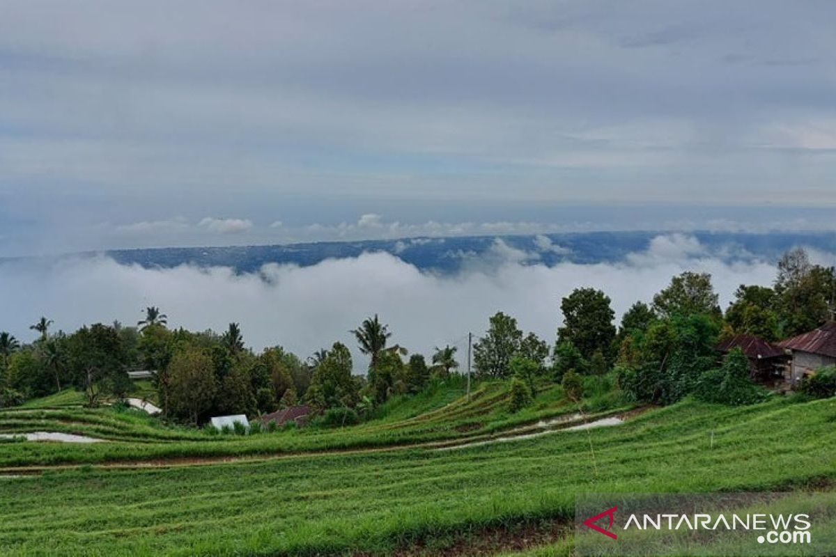 Wujudkan mimpi Desa Panji Anom di Buleleng Bali jadi destinasi wisata alam