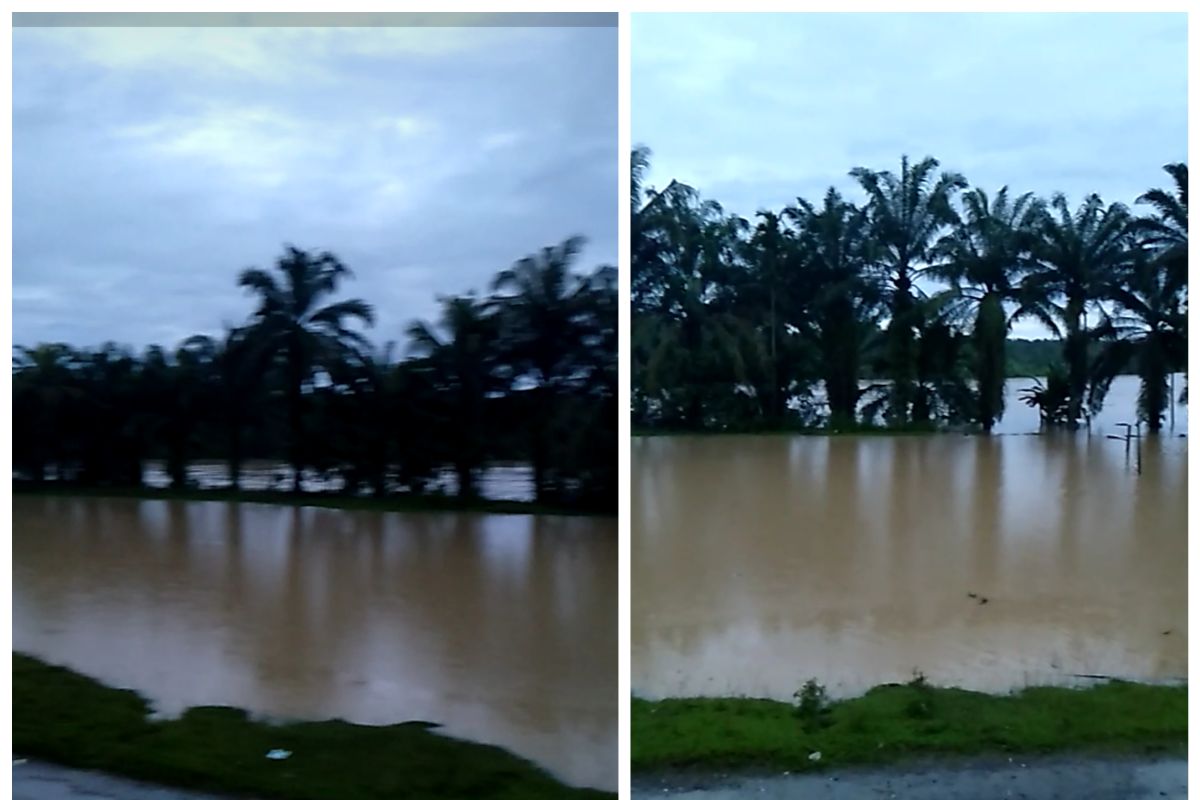 Sungai Wampu Langkat meluap