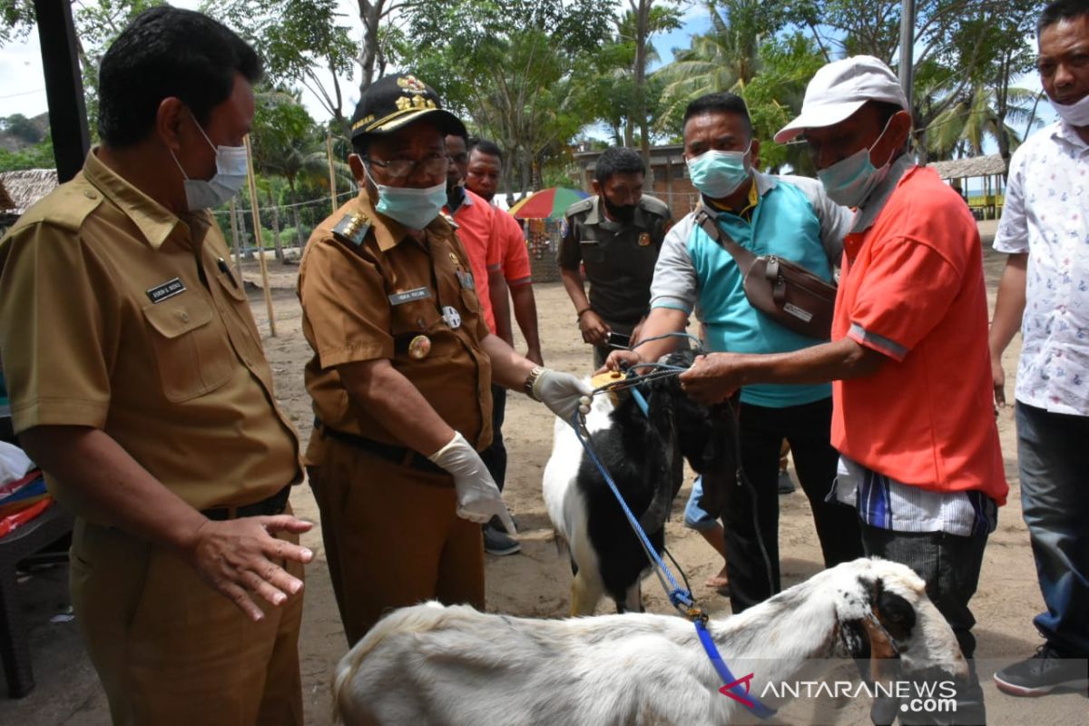 Pemkab Gorontalo Utara salurkan bantuan ternak produktif di Atinggola