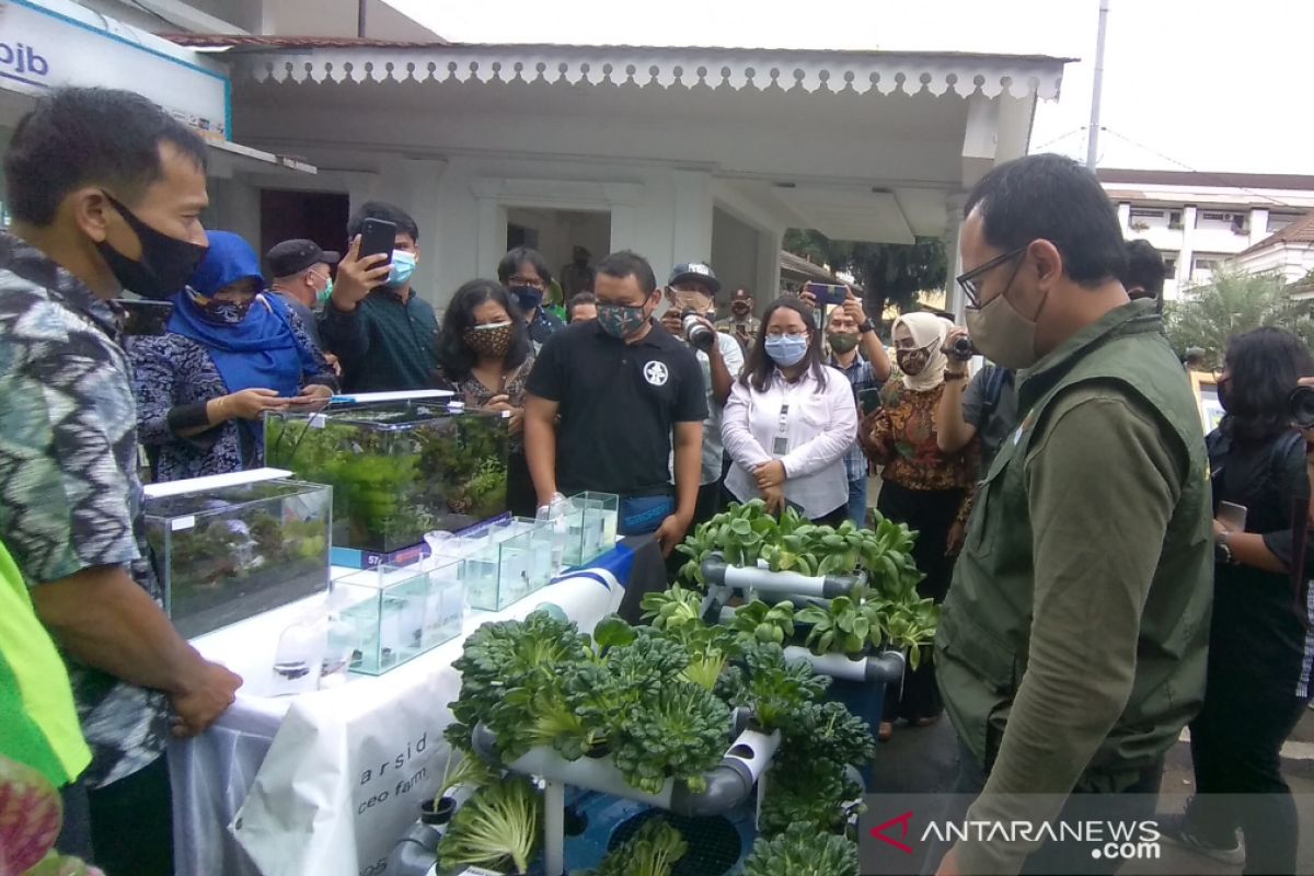Wali Kota Bogor dorong warga manfaatkan lahan pekarangan kembangkan urban farming