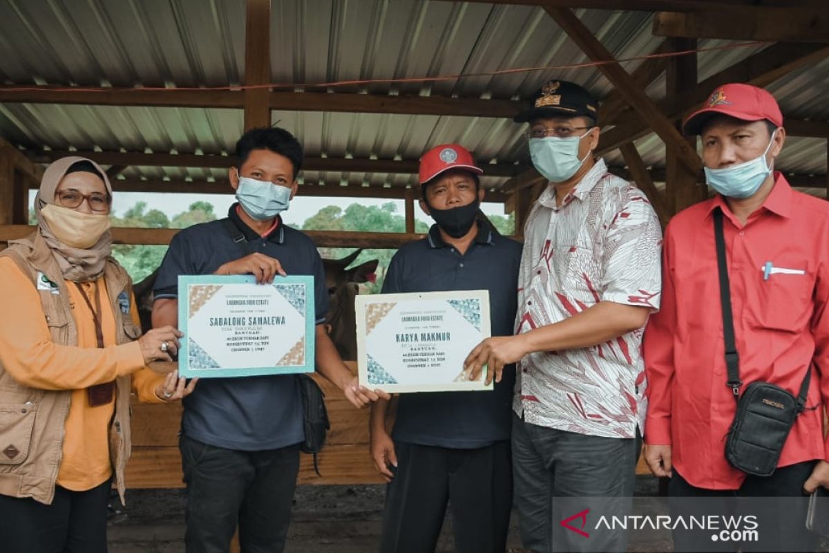 Gubernur NTB menyerahkan 200 sapi dukung food estate di Labangka