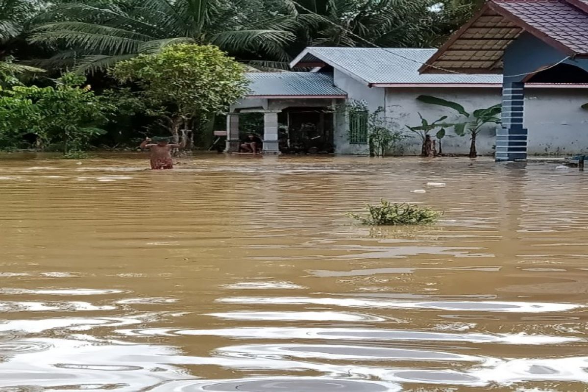 Delapan kecamatan, 763 rumah di Kabupaten Langkat terendam banjir