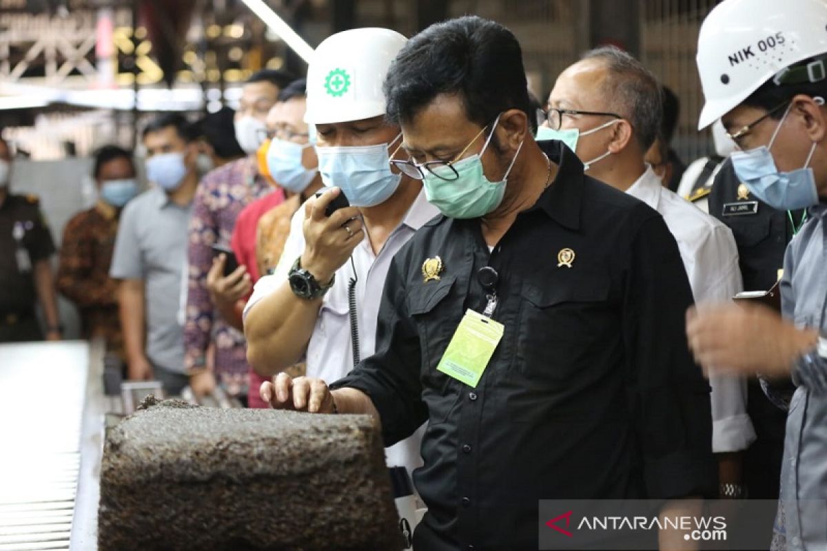 Komoditas sawit dan karet Jambi bisa jadi andalan ekspor Indonesia