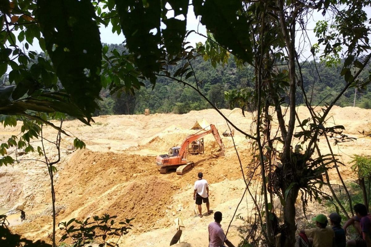 Hutan Desa Lubuk Bedorong  Sarolangun dijarah pelaku penambang emas ilegal