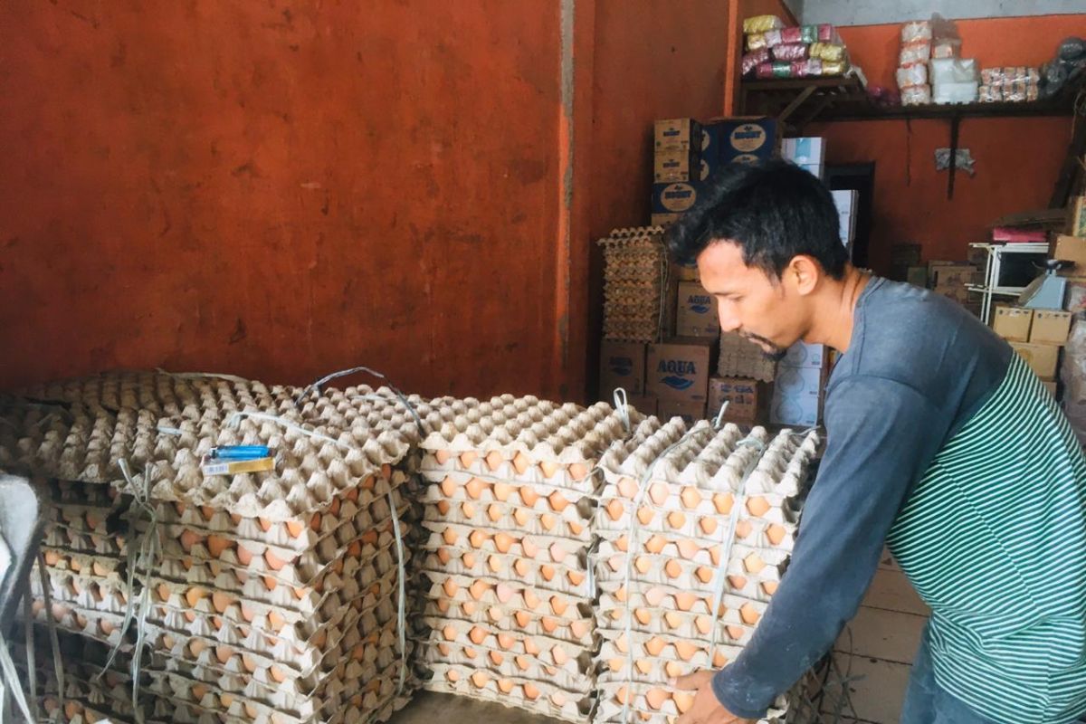 Banjir landa Aceh, harga telur ayam tembus Rp58 ribu