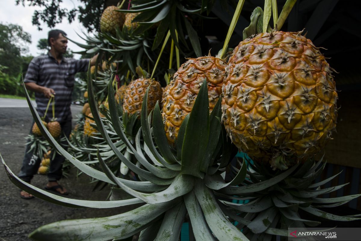 Enam manfaat nanas bagi kesehatan