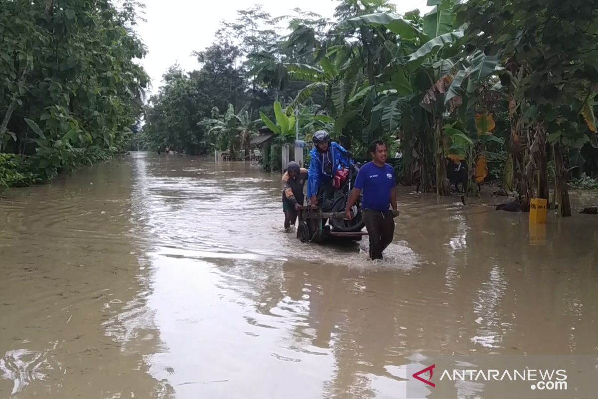 Dinas Pertanian Banyumas cek kerusakan sawah karena banjir