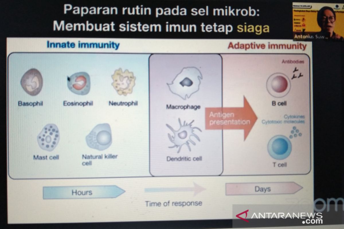 Pakar: Menjaga sistem imunitas tubuh saat pandemi COVID-19 sangat penting