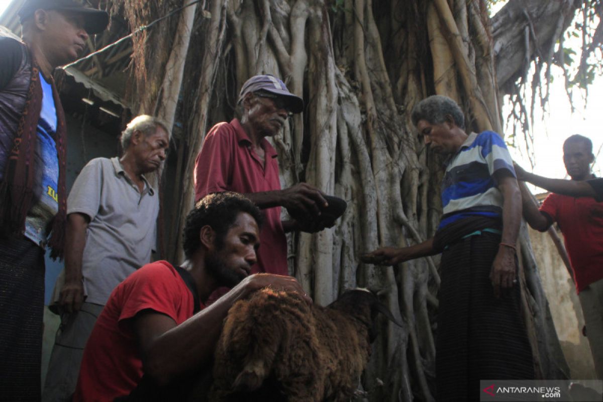 Para kepala suku di lereng Gunung  Lewotolok gelar ritual