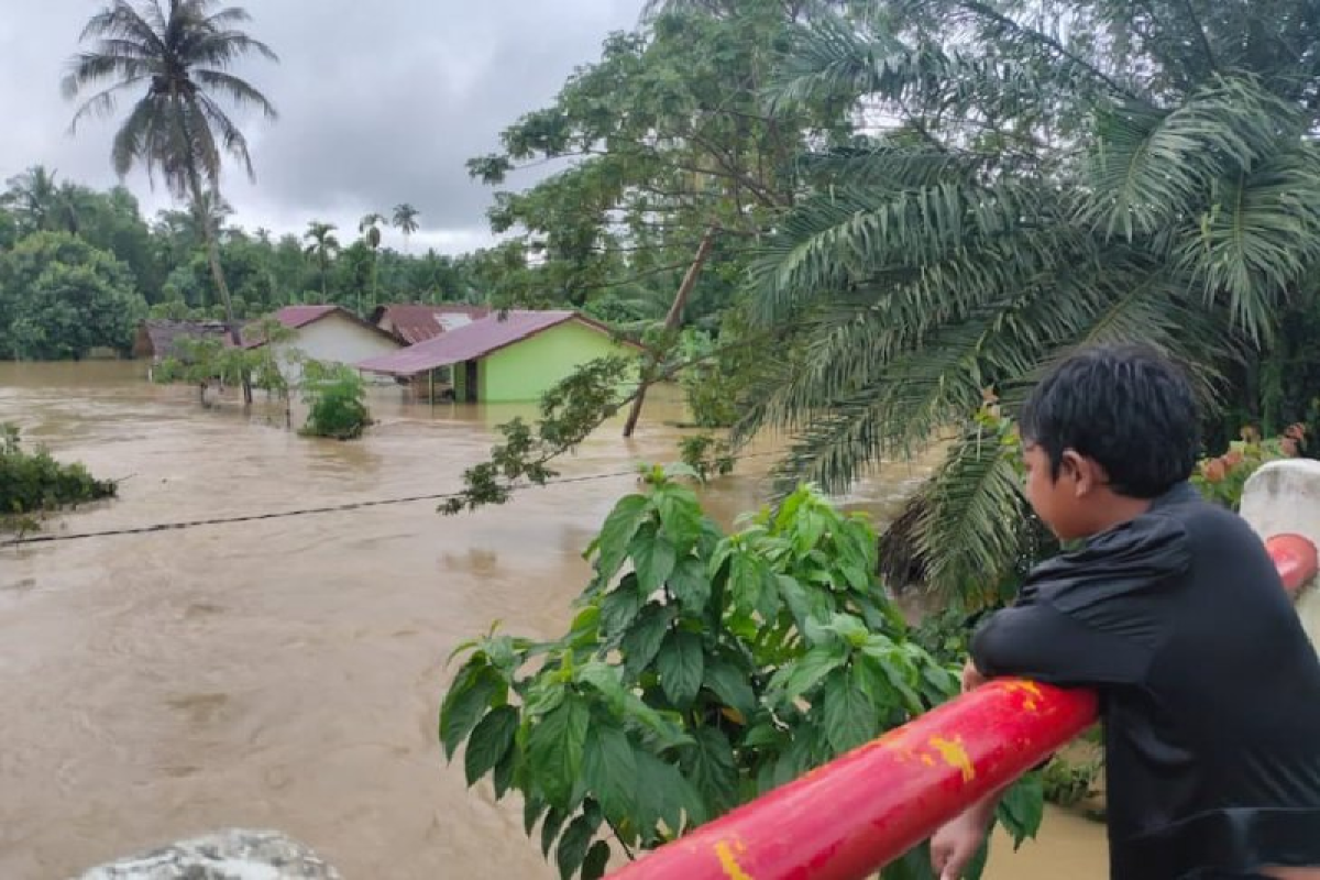 Ketinggian banjir 1,5 meter di Aceh Utara rendam rumah dan lahan warga