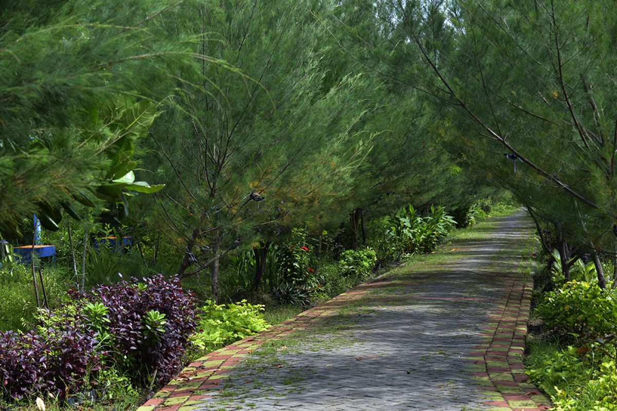 Risma minta Warga Surabaya manfaatkan hutan kota di libur akhir tahun