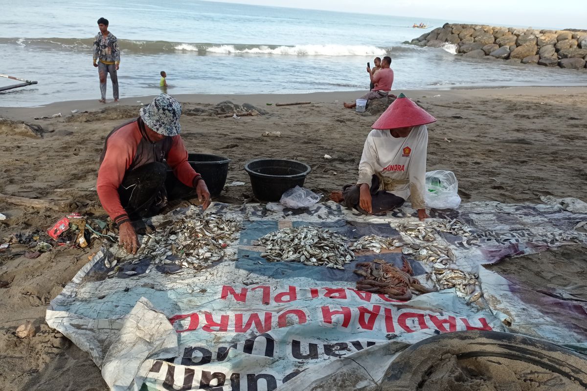 Hasil tangkapan nelayan pukat tepi di Padang turun