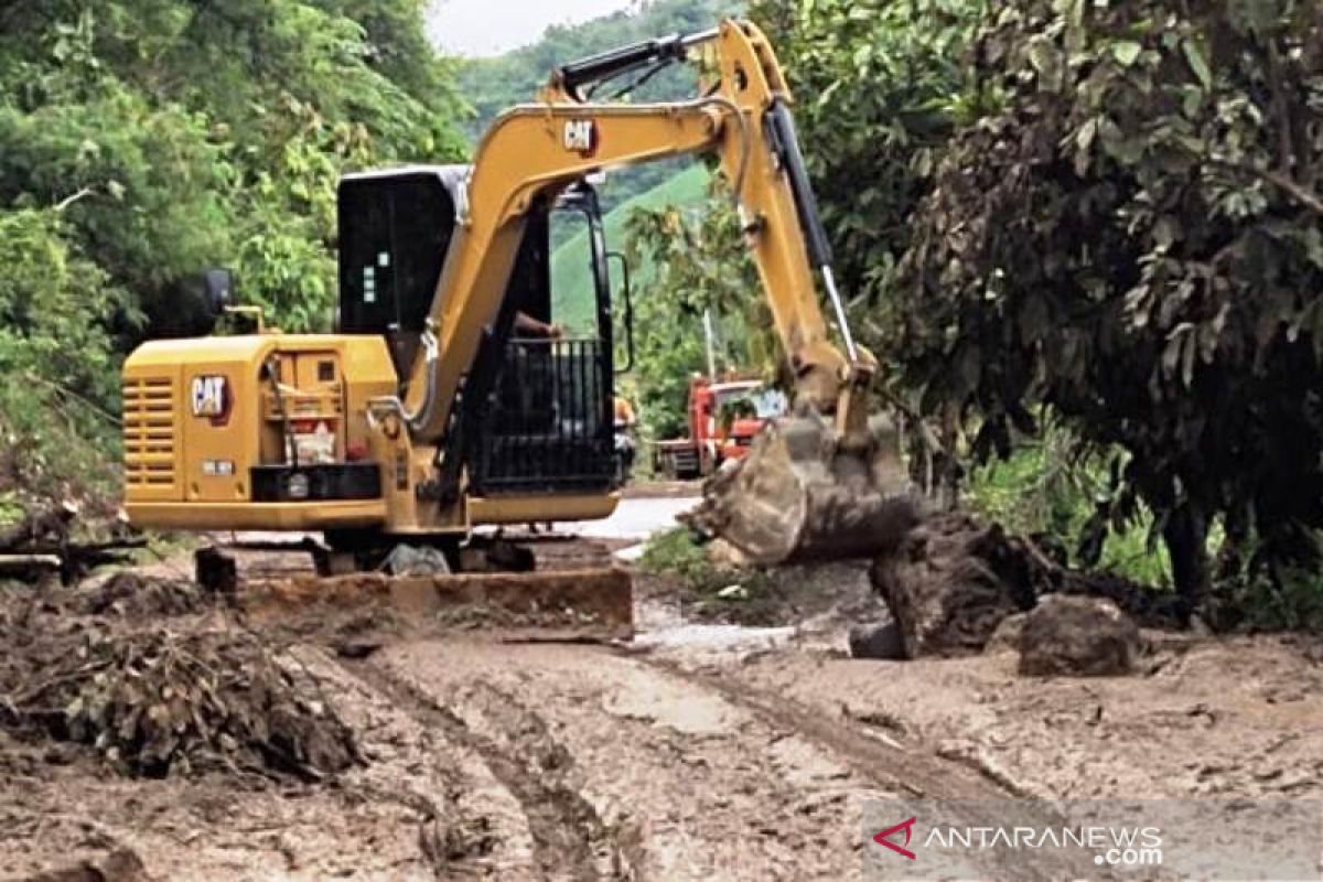 BPBD tangani jembatan putus di Aceh Tenggara secara darurat gunakan pohon kelapa