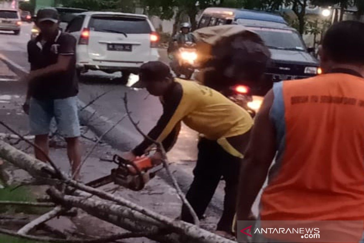 BPBD - DLH Pamekasan evakuasi pohon tumbang tutup jalur provinsi