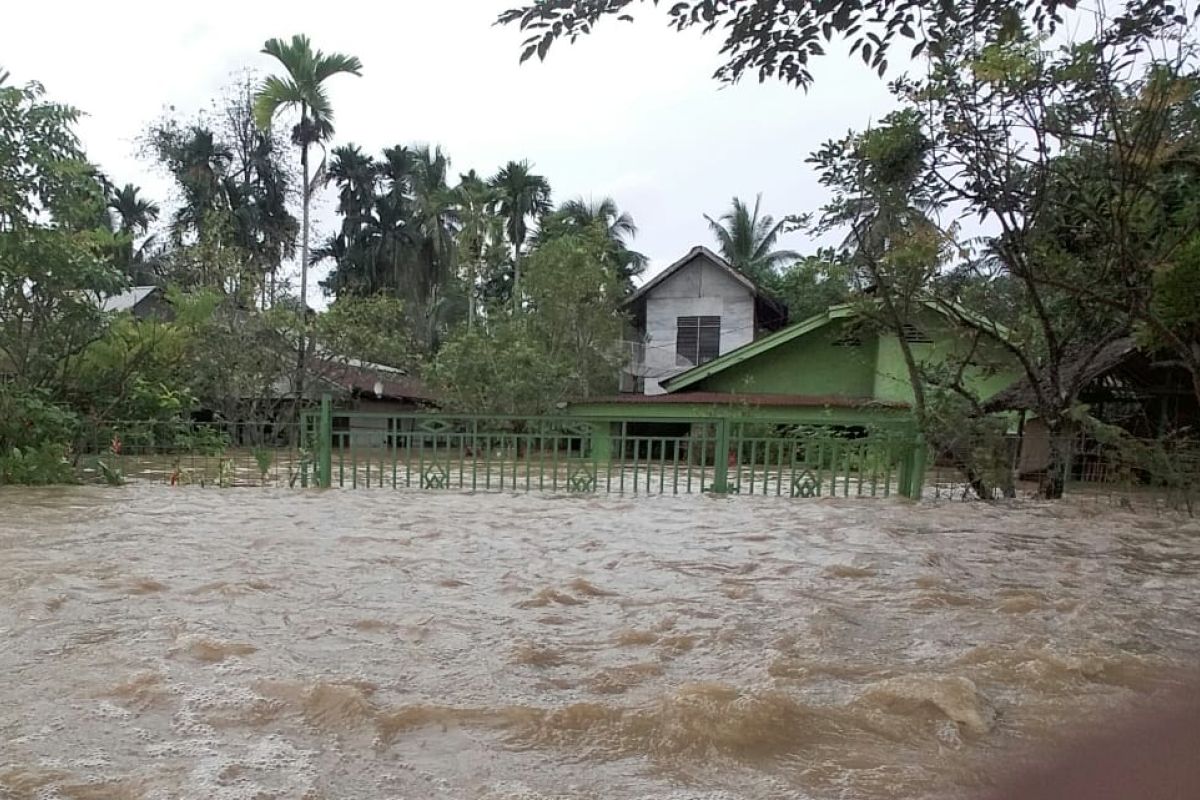 Banjir kepung Aceh Utara paksakan puluhan ribu jiwa mengungsi