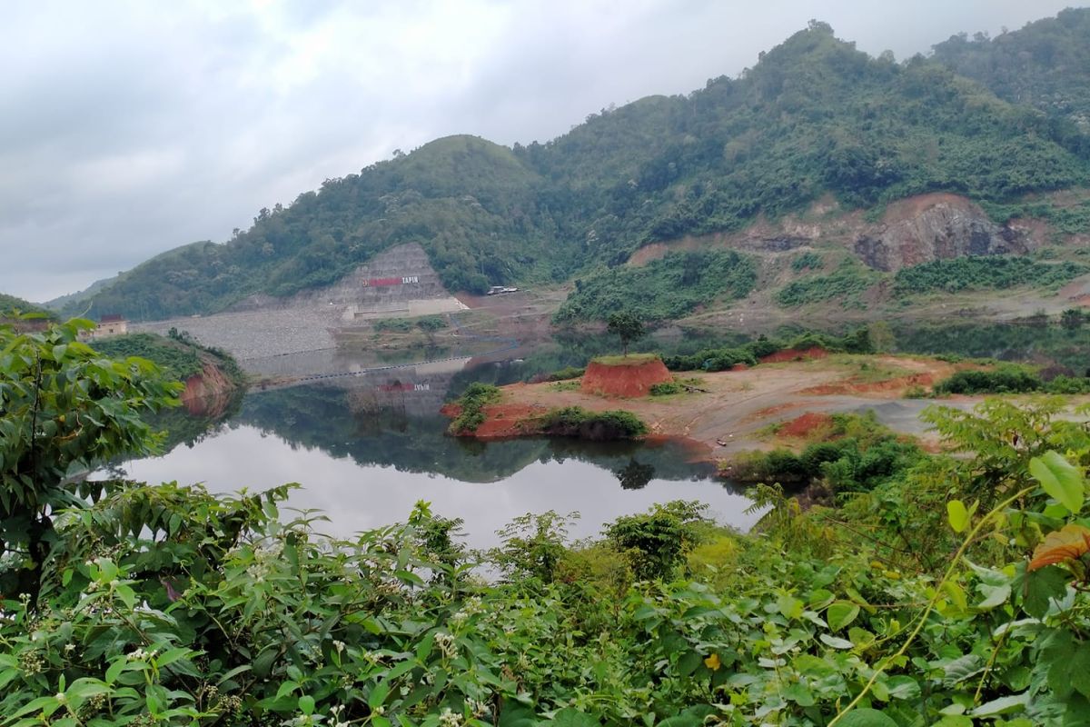 FKH involved in greening Tapin Dam green belt