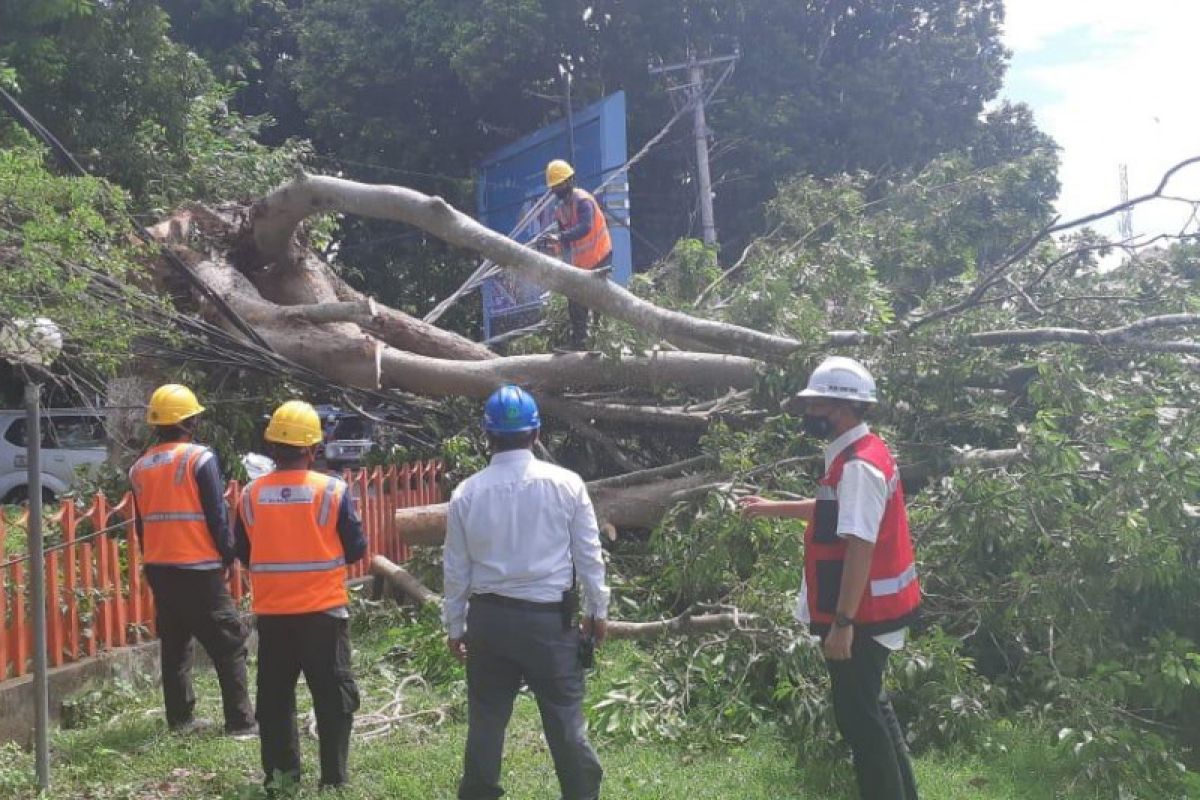 Petugas PLN berjibaku di tengah cuaca ekstrem melanda Lombok