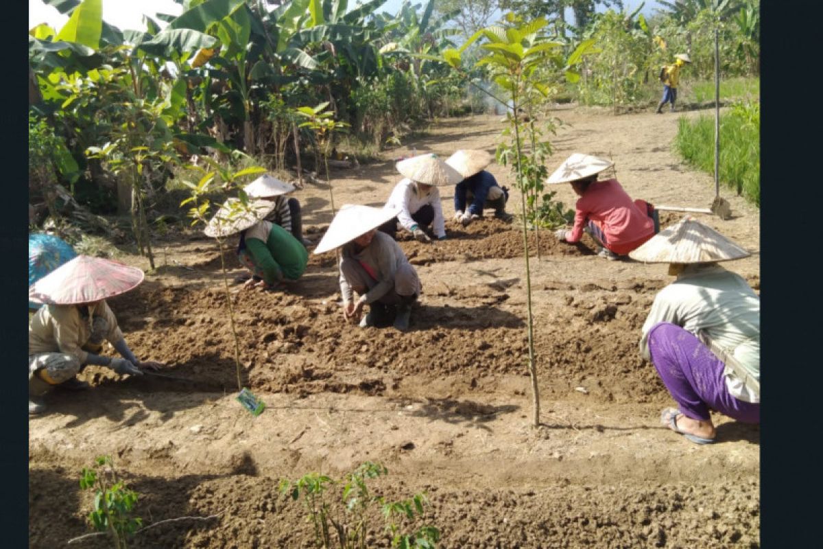 Ibu PKK daerah perbatasan galakan kerajinan tangan dan bercocok tanam