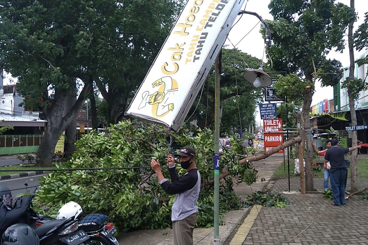 Warga Kota Malang diminta waspadai bencana angin kencang